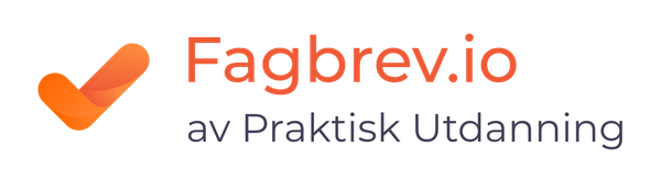 Praktisk utdanning